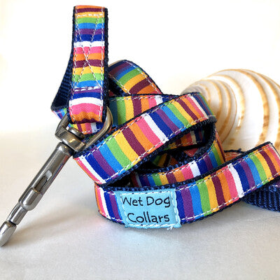 Colorful striped dog leash with rust proof stainless swivel clip for saltwater use