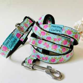 Retro Rosie Narrow Dog Collar and Leash