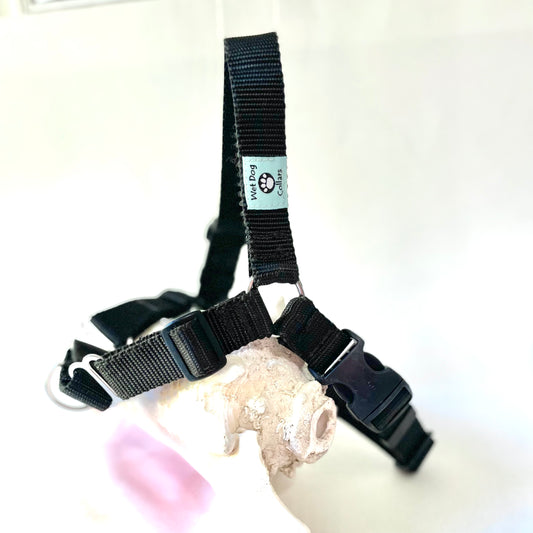 No Pull Front Dog Harness - Basic