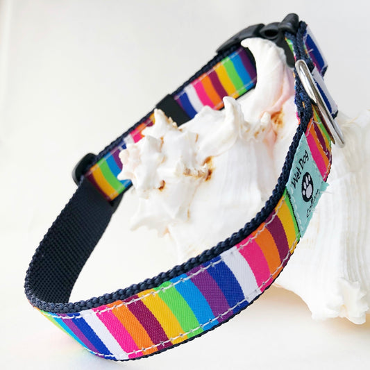 Dog collar with rainbow stripes for the beach dog with rust proof stainless steel D ring