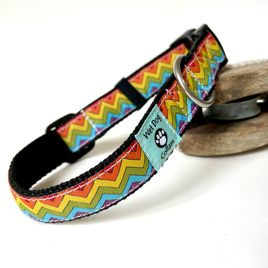 Colorful rainbow zigzag patterned dog collar with rust resistant D-ring made for salty dog
