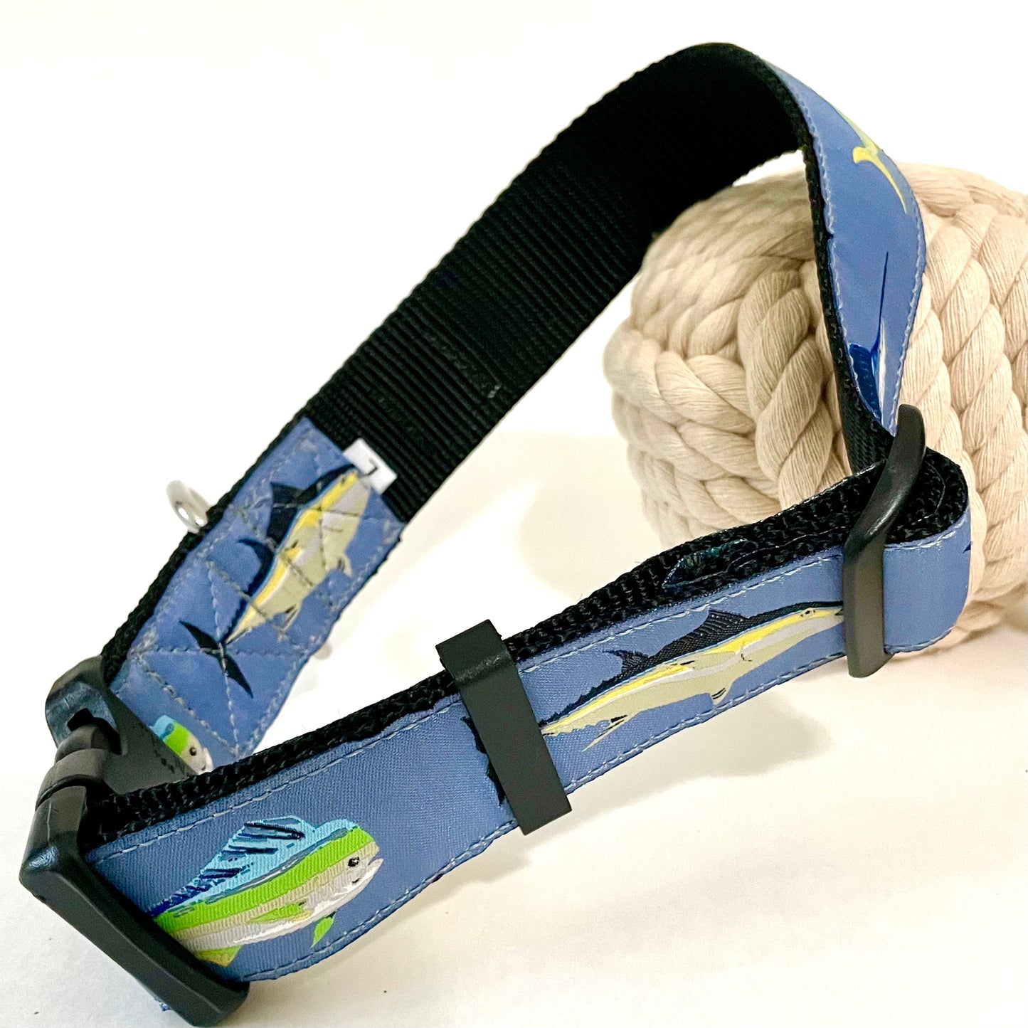 Fish Tales Wide Dog Collar and Leash
