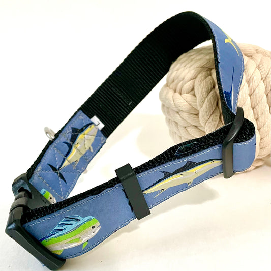 Fish Tales Wide Dog Collar and Leash