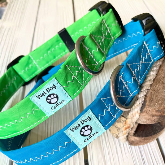 Two dog collars, one green and one blue, with white zig zag stitching and Stainless hardware