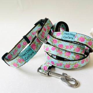 Retro Rosie Narrow Dog Collar and Leash