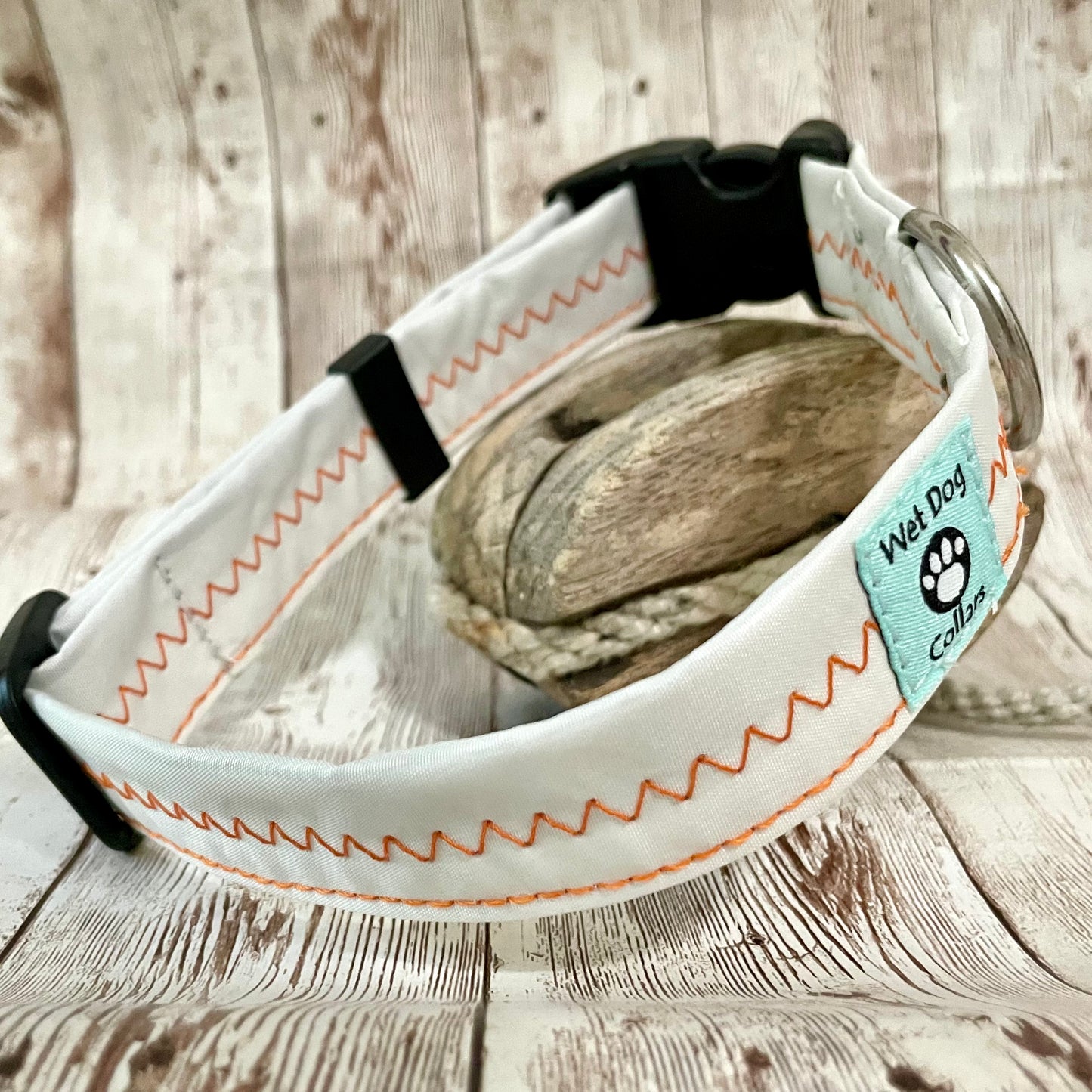 repurposed sailcloth collar for beach dogs with rust proof hardware