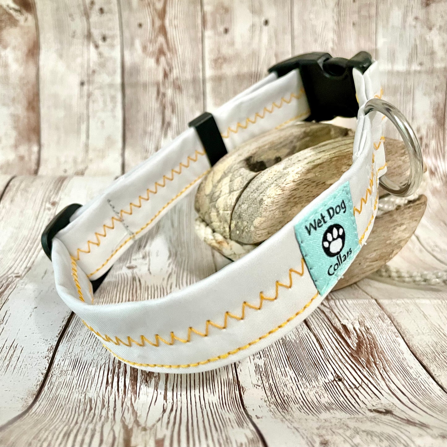 repurposed sailcloth collar for beach dogs with rust proof hardware