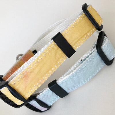 Two dog collar with yellow and aqua spinnaker and white stitching and rust proof stainless D-ring for the sailor dog