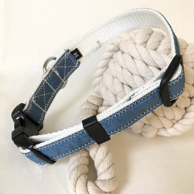 Dog collar with blue spinnaker and white stitching and rust proof stainless D-ring for the sailor dog