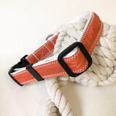 Dog collar with blue spinnaker and white stitching and rust proof stainless D-ring for the sailor dog