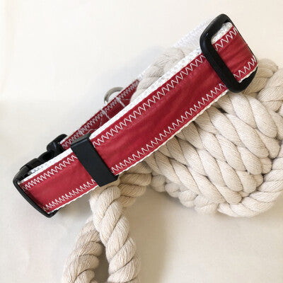 Dog collar with red spinnaker and white stitching and rust proof stainless D-ring for the sailor dog