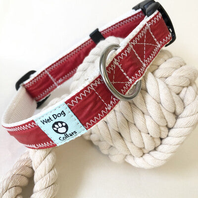 Dog collar with red spinnaker and white stitching and rust proof stainless D-ring for the sailor dog
