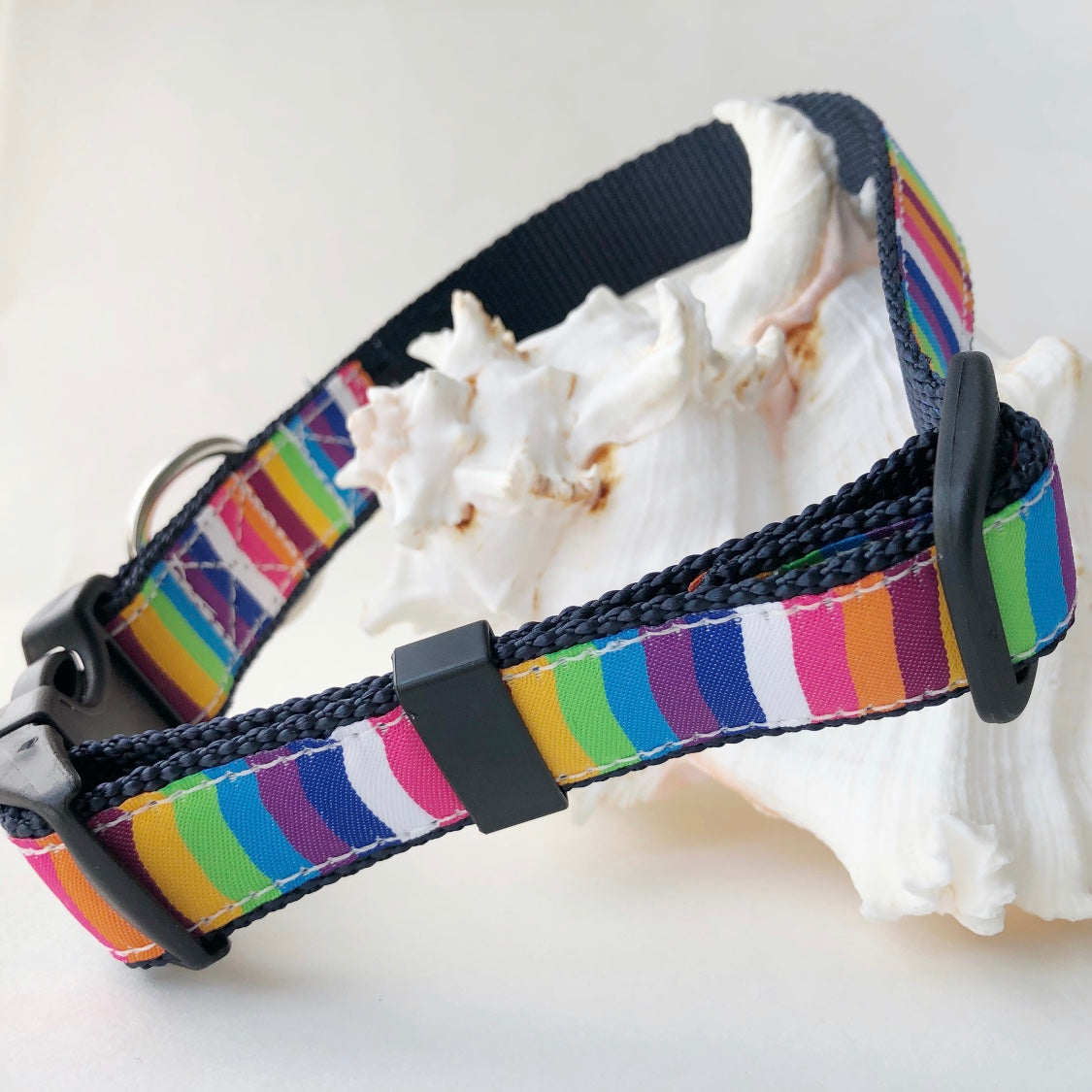 Dog collar with colorful striped pattern made for beach use with stainless D-ring
