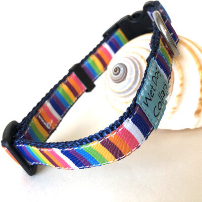 Rainbow striped dog collar made for beach use