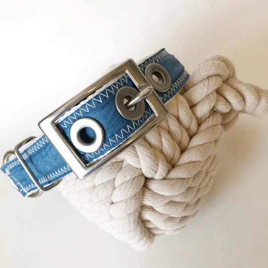 spinnaker dog collar with stainless steel buckle and grommets