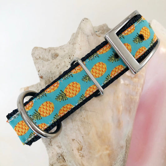 Dog collar with stainless buckle, custom made