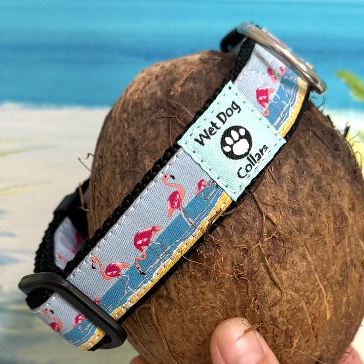 A close-up of a dog collar with a flamingo design, shown wrapped around a coconut. The collar has a light blue and blue pattern with pink flamingos, a black strap, and a light blue brand patch that reads 'Wet Dog Collars' with a paw print logo.