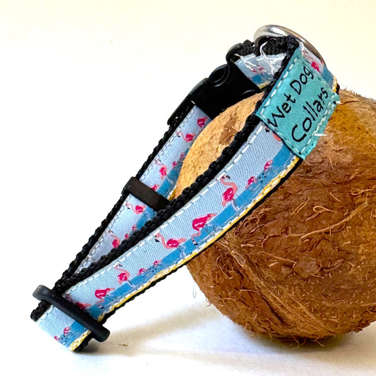 A dog collar with a light blue and pink flamingo print, displayed wrapped around a brown coconut on a white background. The collar features a turquoise fabric tag with the text 'Wet Dog Collars'.