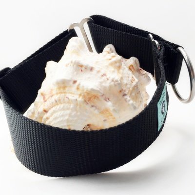 Greyhound Martingale Collar Upgrade