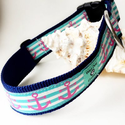 pink anchors on aqua stripes dog collar made for the salty dog with rust proof stainless