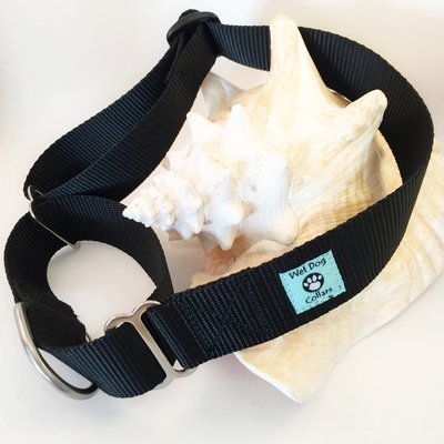 wide marine webbing martingale collar with stainless hardware for coastal dog