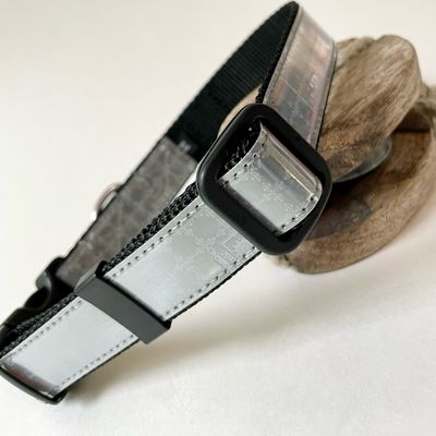 reflective dog collar with stainless steel D-ring