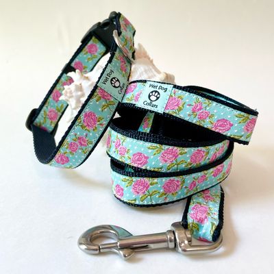 Dog collar and leash with floral rose pattern on a aqua  background for saltwater dog