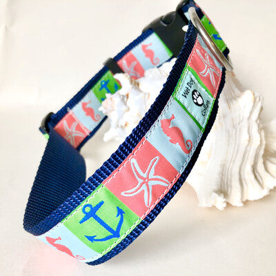 anchors, seahorse and starfish wide dog collar for the beach dog with stainless steel hardware