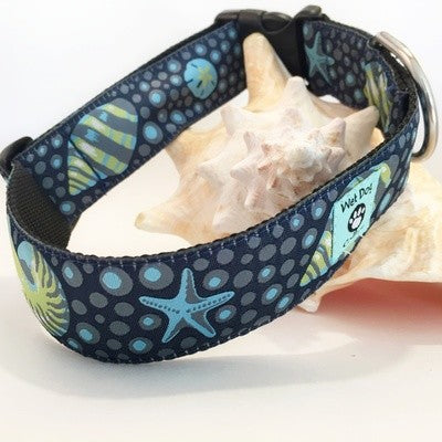 sea shells on navy wide dog collar made for the beach dog with stainless D-ring