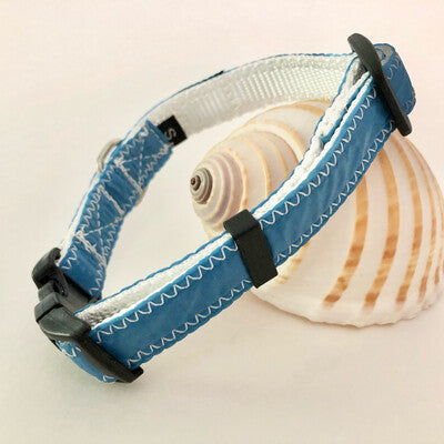 Blue dog collar made from repurposed spinnaker sails