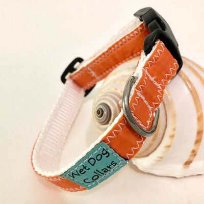 Orange dog collar made from repurposed spinnaker sails