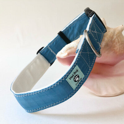 repurposed spinnaker sails into wide dog collar with rust proof stainless hardware