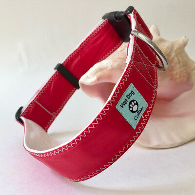 repurposed red spinnaker sails into wide dog collar with rust proof stainless hardware