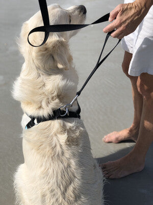 Add a Traffic Handle